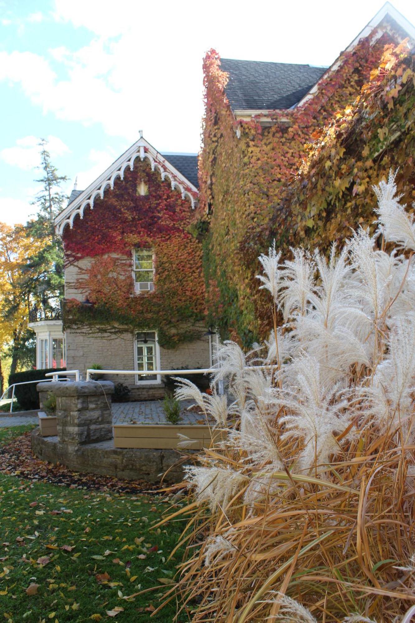 Westover Inn Saint Marys Exterior photo